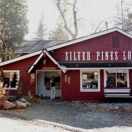 Silver Pines Lodge Idyllwild Bagian luar foto