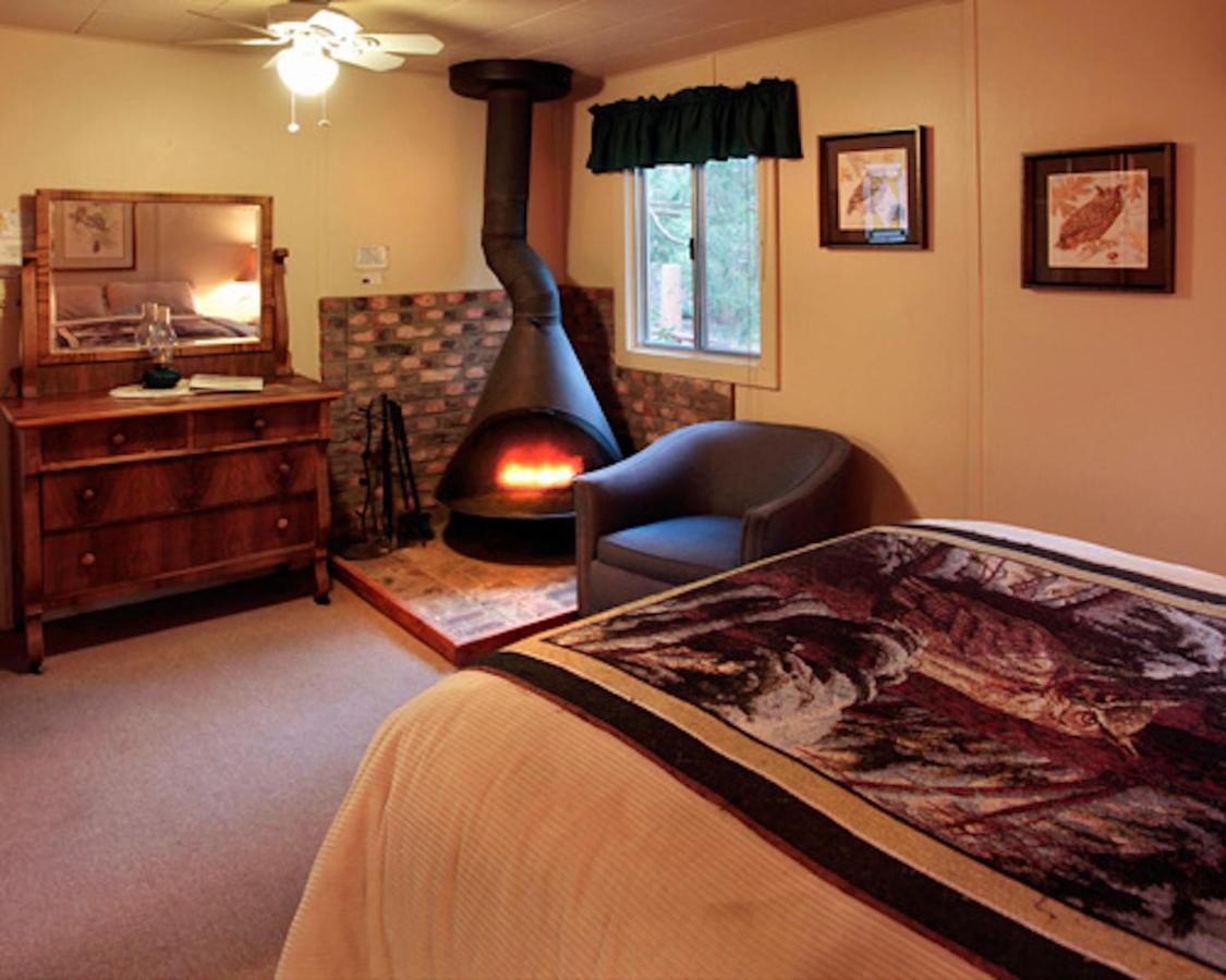 Silver Pines Lodge Idyllwild Bagian luar foto