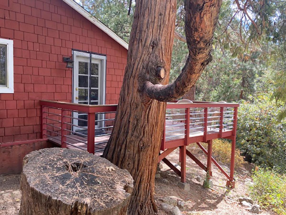 Silver Pines Lodge Idyllwild Bagian luar foto