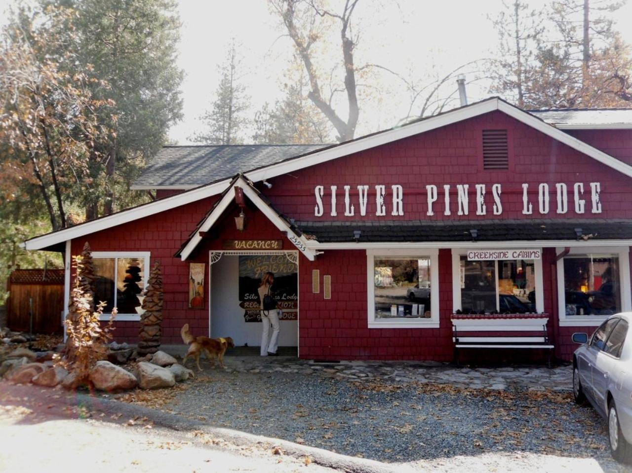Silver Pines Lodge Idyllwild Bagian luar foto