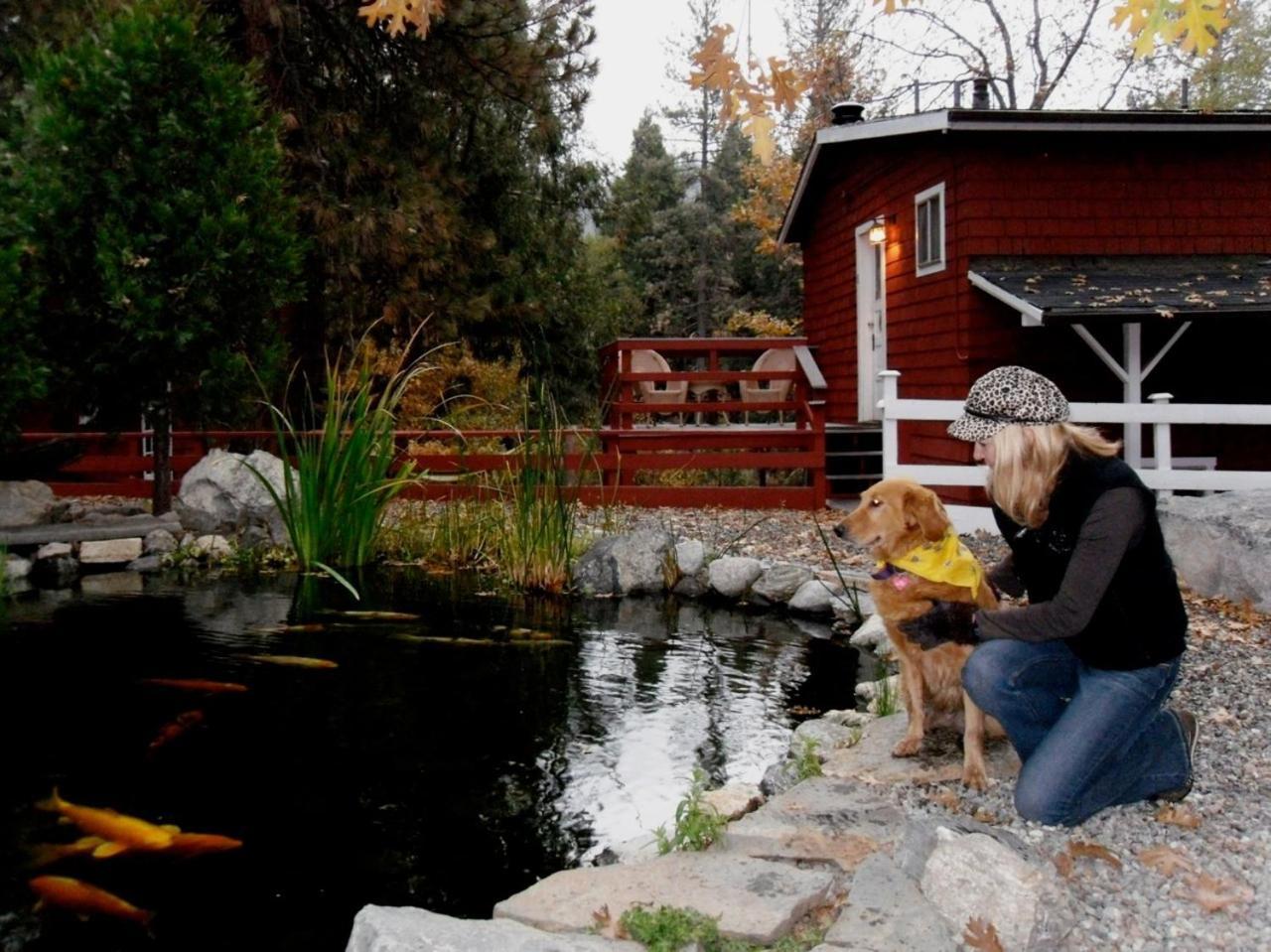 Silver Pines Lodge Idyllwild Bagian luar foto